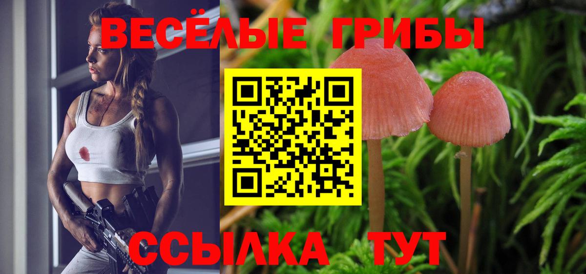 Строитель  Галлюциногенные грибы ЛСД  Галлюциногенные грибы Psilocybe  Вход с VPN 